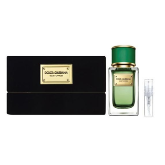 Dolce & Gabbana Velvet Cypress - Eau de Parfum - Doftprov - 2 ml