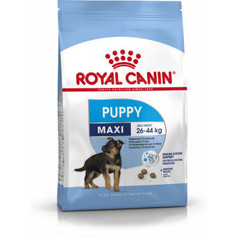 Foder Royal Canin Maxi Puppy Barn/junior Fåglar 4 Kg