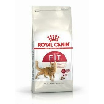 Kattmat Royal Canin Regular Fit 32 Vuxen Majs Fåglar 400 g