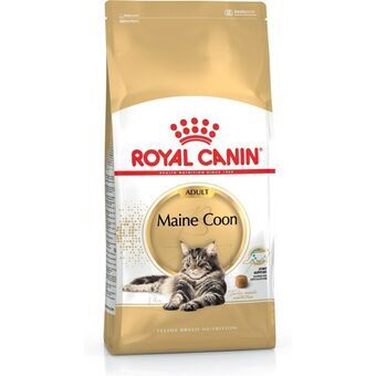 Kattmat Royal Canin Vuxen 4 Kg Kyckling