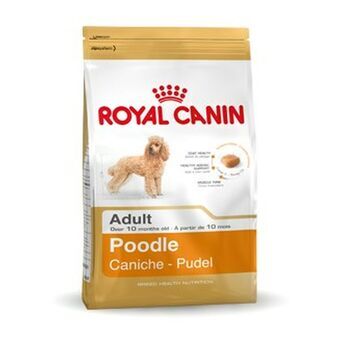 Foder Royal Canin Poodle Adult Vuxen 1,5 Kg