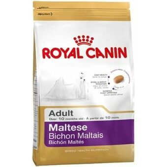 Foder Royal Canin Vuxen Majs Fåglar 500 g