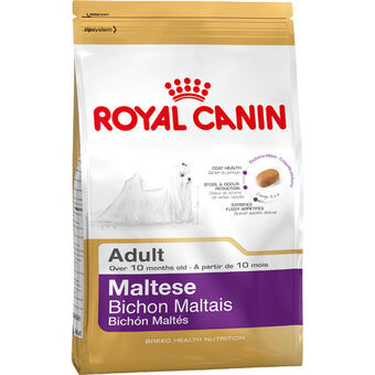 Foder Royal Canin Maltese Adult Vuxen Majs Fåglar 1,5 Kg