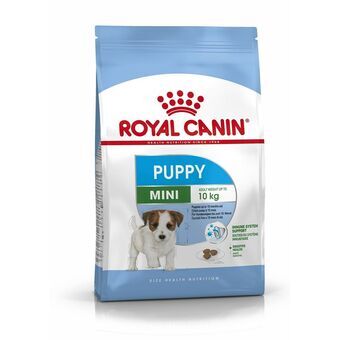 Foder Royal Canin Mini Puppy Barn/junior Fåglar 4 Kg