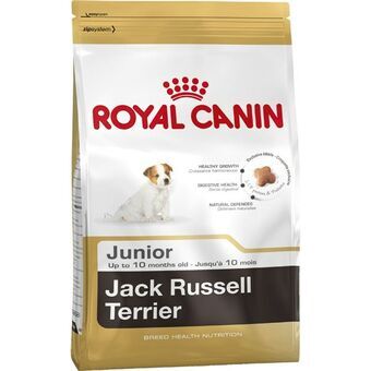 Foder Royal Canin Jack Russell Junior Barn/junior Ris Fåglar 3 Kg