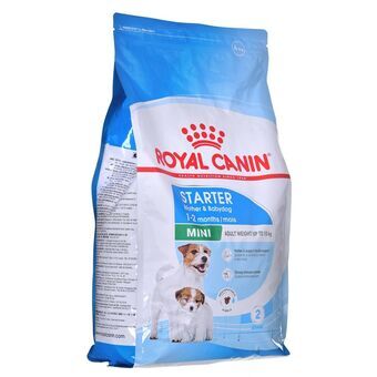 Foder Royal Canin Fåglar 4 Kg