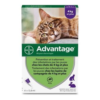 Mot parasiter Advantage Katt Kanin +4 Kg 4 antal 0,8 ml