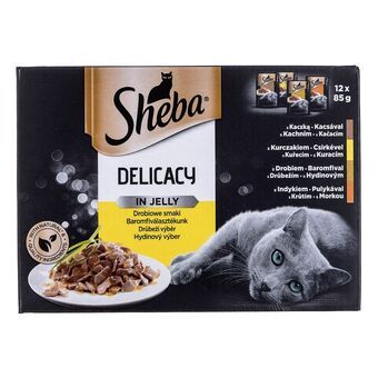 Kattmat Sheba Delicacy in Jelly Kyckling Kalkon Anka Fåglar 100 g