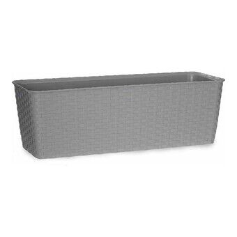 Självvattnande planter ‎3872950 Grå Plast (18 x 16 x 49 cm)