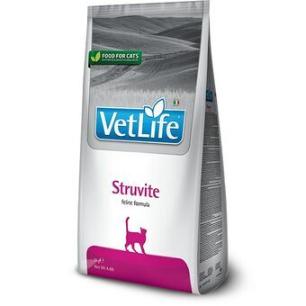 Kattmat Farmina STRUVITE FELINE Vuxen 2 Kg