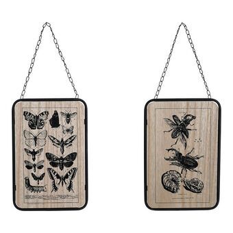 Tavla DKD Home Decor S3013953 Insekter Svart Metall Trä MDF (20.5 x 1 x 32 cm) (2 pcs)