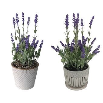 Dekorativ växt DKD Home Decor Lavendel Keramik PE (2 antal) (11 x 11 x 28 cm)