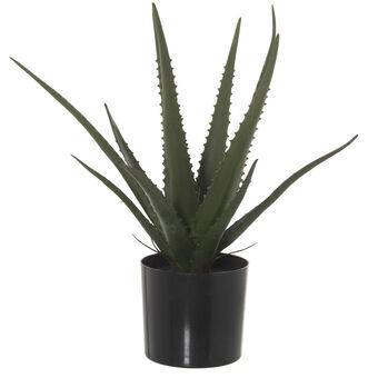 Dekorativ växt Alexandra House Living Plast Aloe Vera 11 x 11 x 39 cm