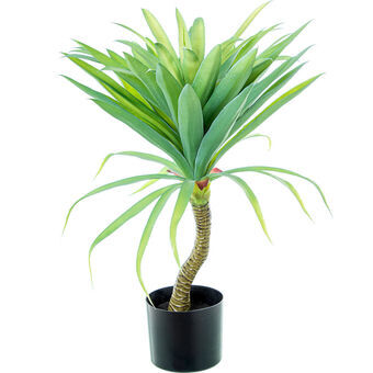 Dekorativ växt Alexandra House Living Plast Yucca 70 cm