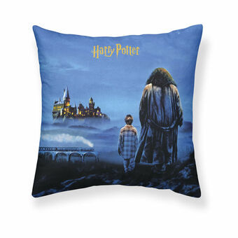 Kuddfodral Harry Potter Philosopher\'s Stone 50 x 50 cm