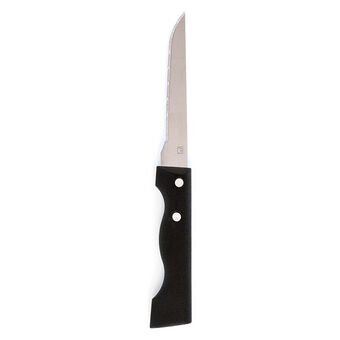 Kotlettkniv Amefa Campagnard (21,5 cm)