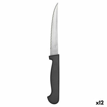 Köttkniv Amefa Metall Dvobarvna 21 cm 12 antal