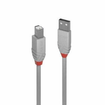 USB A till USB B Kabel LINDY 36682 Grå