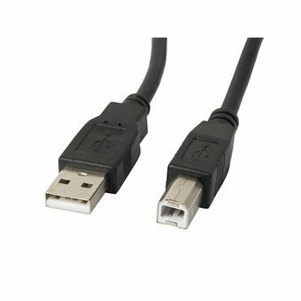 Adapter USB Lanberg CA-USBA-10CC-0030-BK 3 m Svart