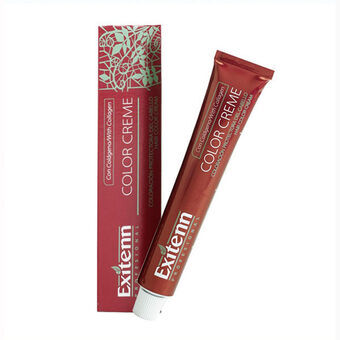 Permanent färg Exitenn Color Creme 60 ml Nº 12 0.86