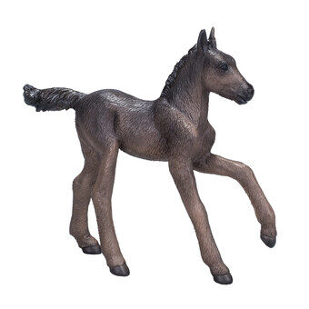 Mojo horse world arabian foal black - 381015