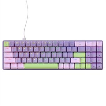 ZIYOULANG K65 78 tangenter Bytebar mekaniskt tangentbord RGB-ljus USB kabelanslutet tangentbord